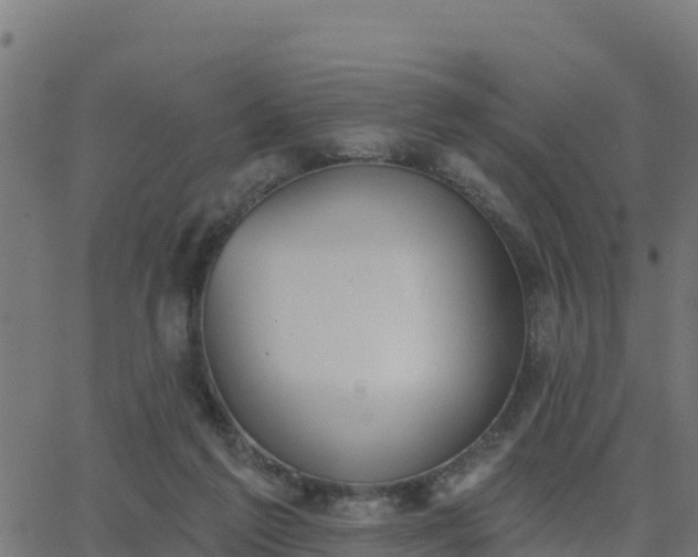 X0000062840213200601201646