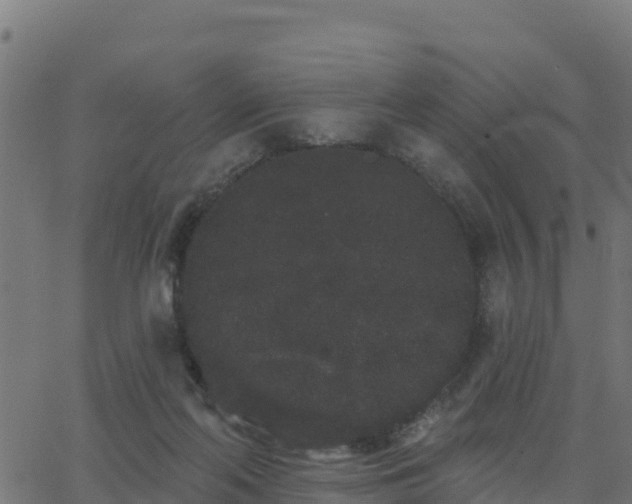 X0000062840214200601201646