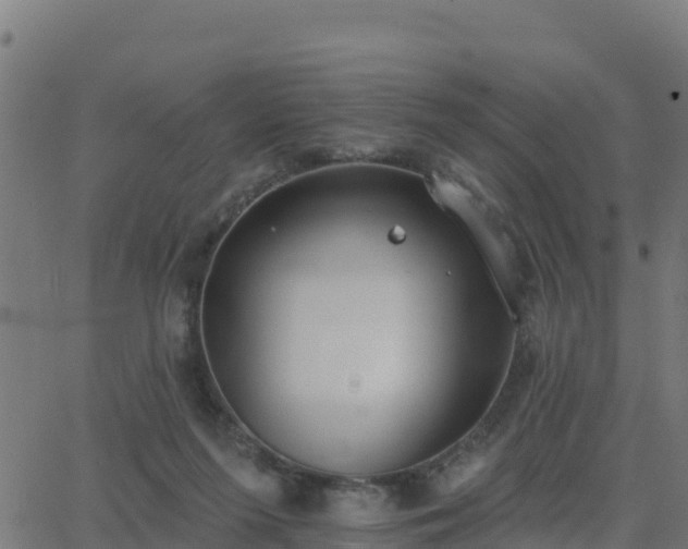 X0000062840215200601201646