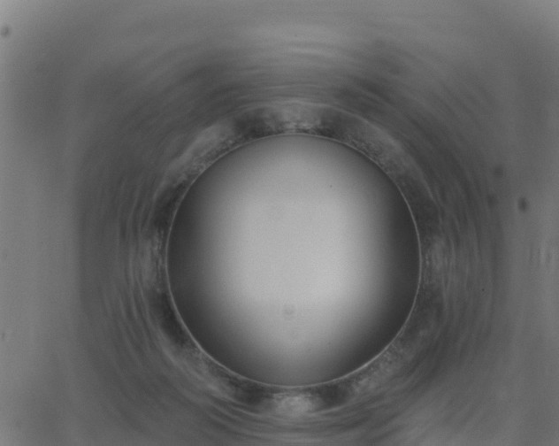 X0000062840218200601201646