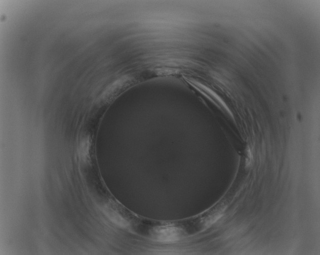 X0000062840219200601201646