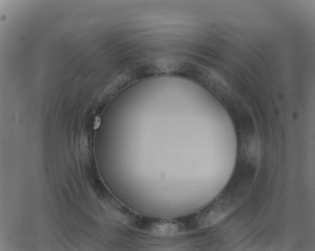 X0000062840220200601201646