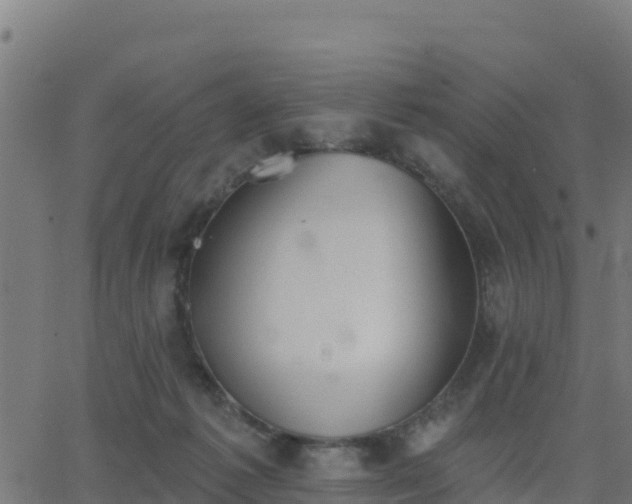 X0000062840221200601201646