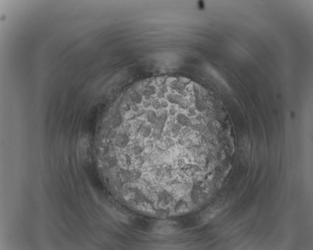 X0000062840222200601201646