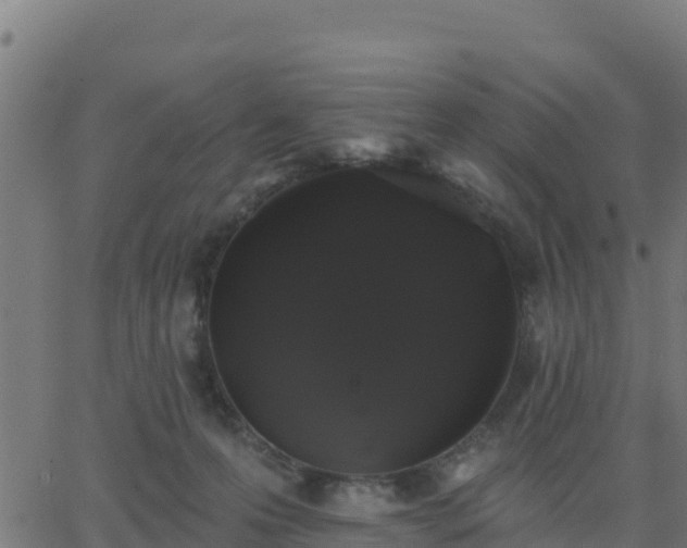 X0000062840223200601201646