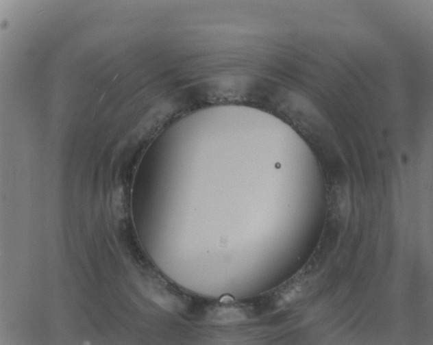 X0000062840224200601201646