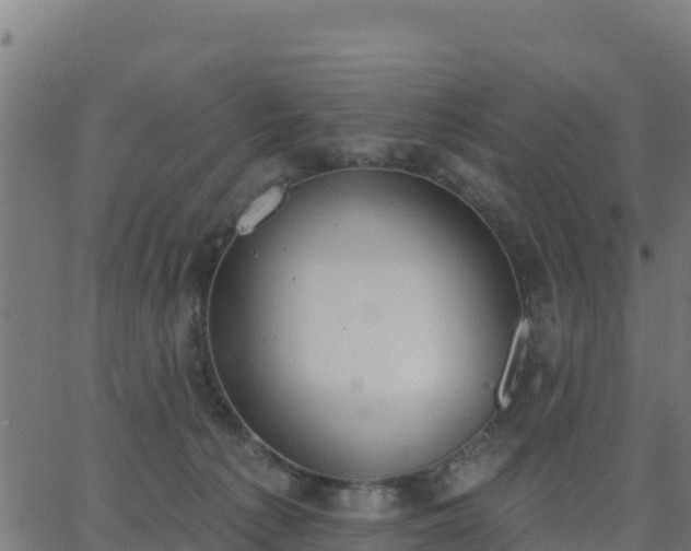 X0000062840225200601201646