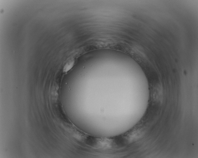 X0000062840226200601201646