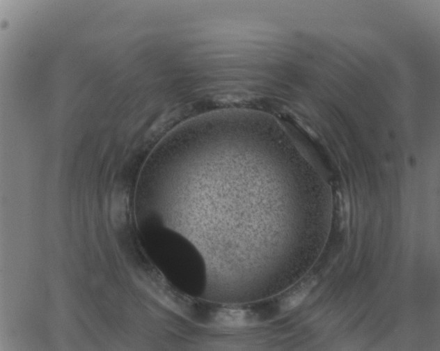 X0000062840227200601201646