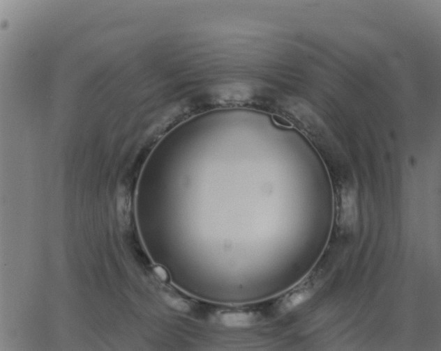 X0000062840228200601201646