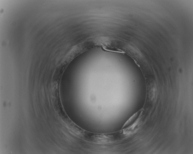 X0000062840229200601201646