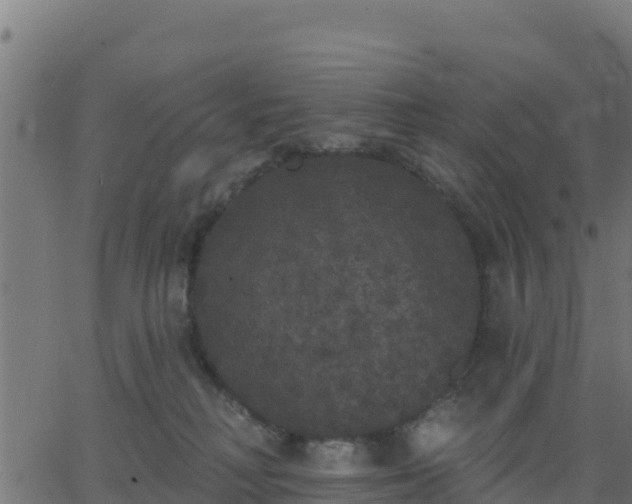 X0000062840230200601201646