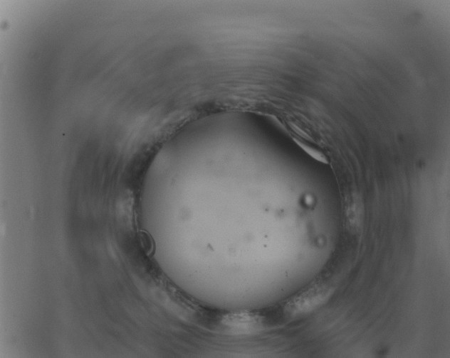 X0000062840231200601201646