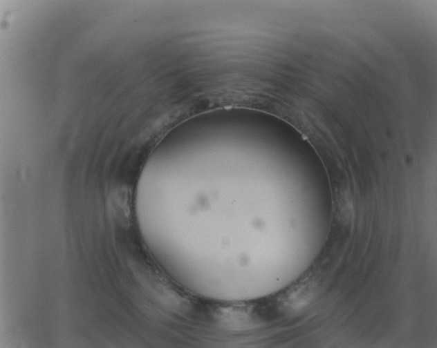 X0000062840232200601201646