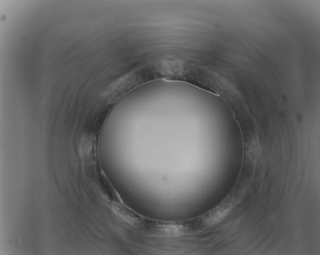 X0000062840233200601201646