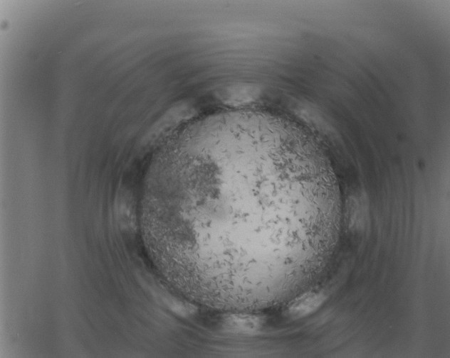 X0000062840234200601201646