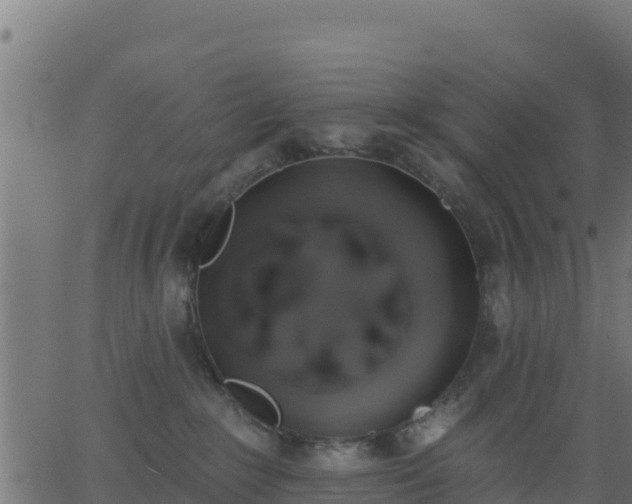 X0000062840235200601201646