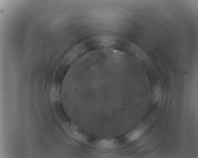 X0000062840236200601201646