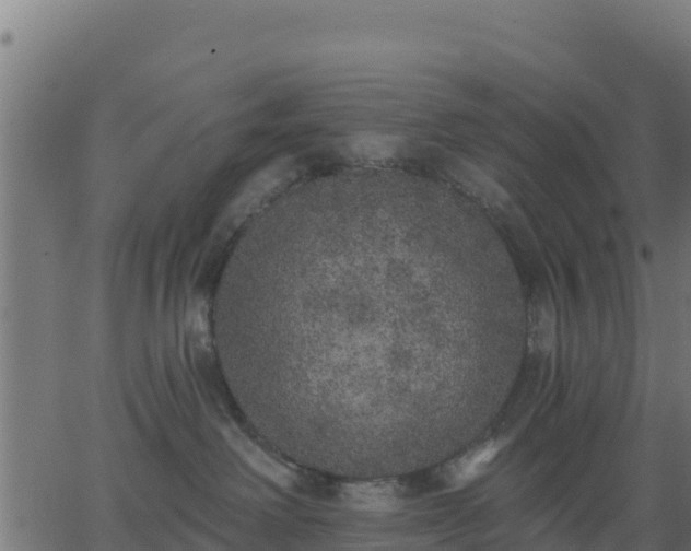 X0000062840238200601201646