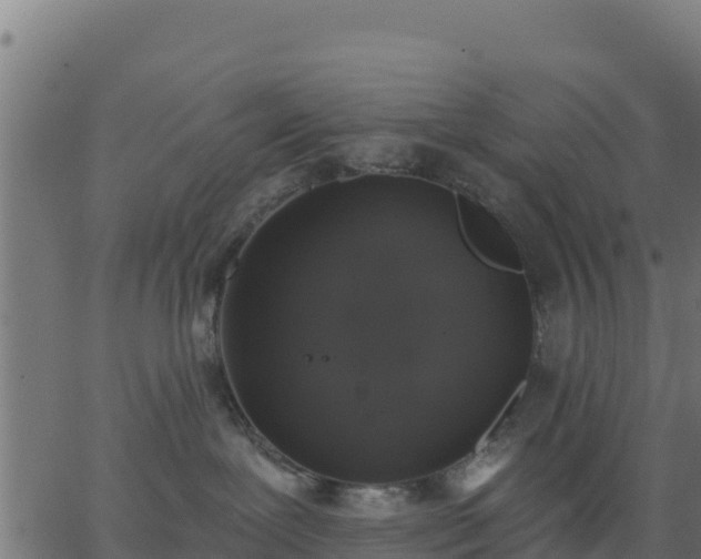 X0000062840239200601201646