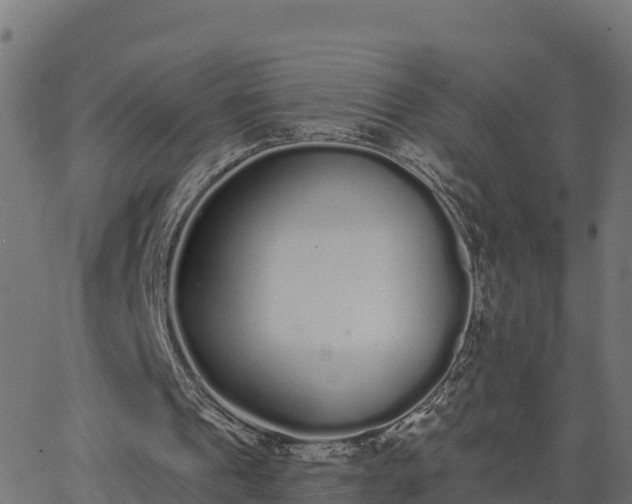 X0000062840241200601201645