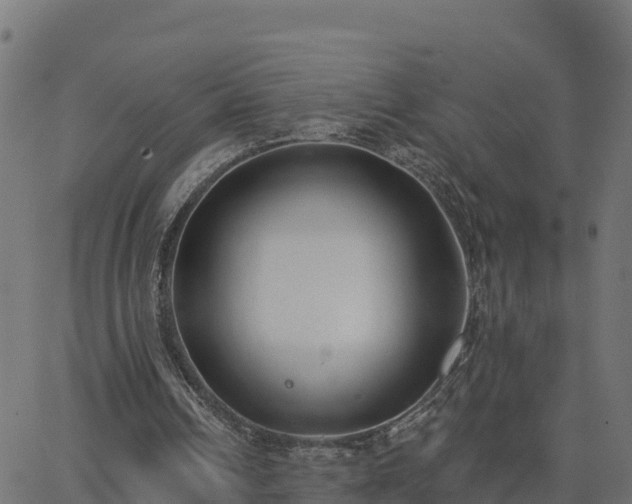 X0000062840242200601201645