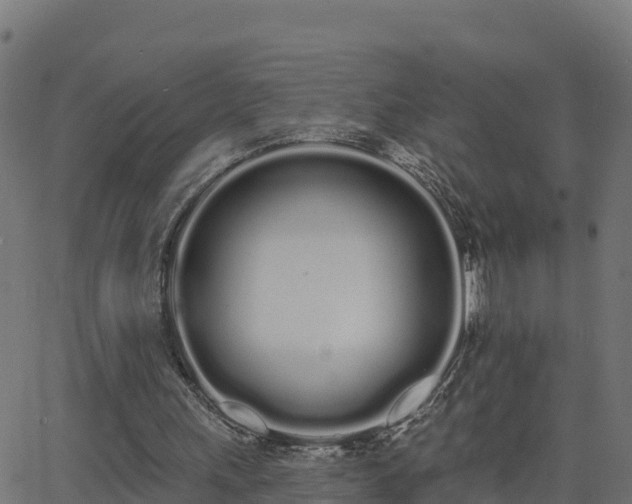 X0000062840243200601201645