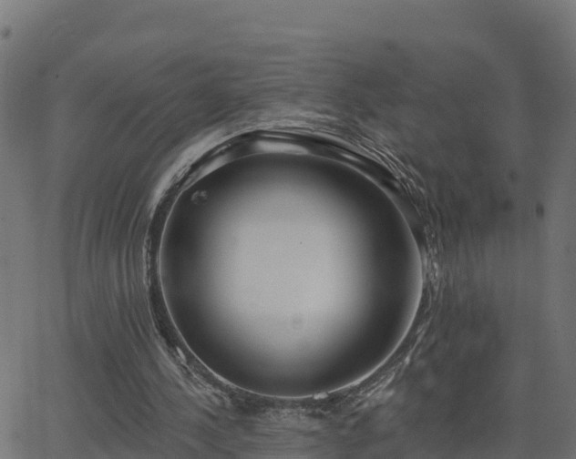 X0000062840244200601201645