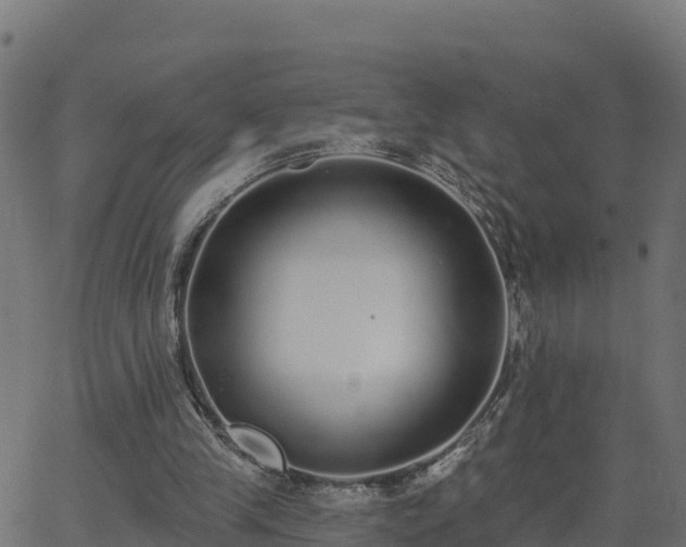 X0000062840245200601201645