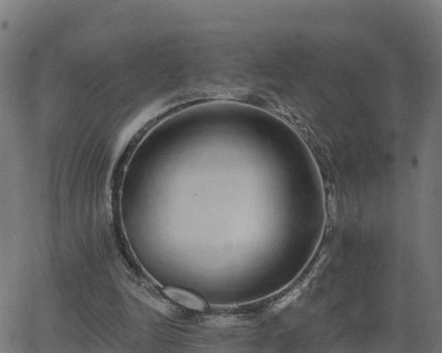 X0000062840246200601201645