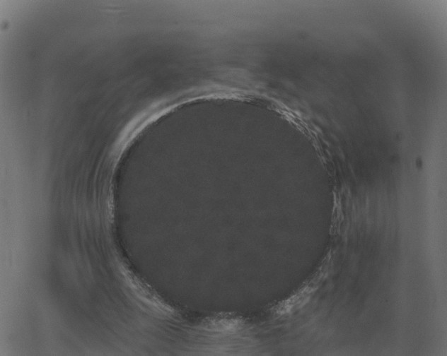 X0000062840247200601201645