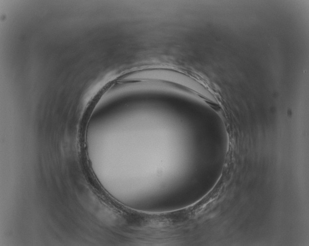 X0000062840248200601201645