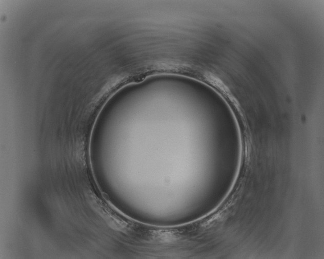 X0000062840249200601201645