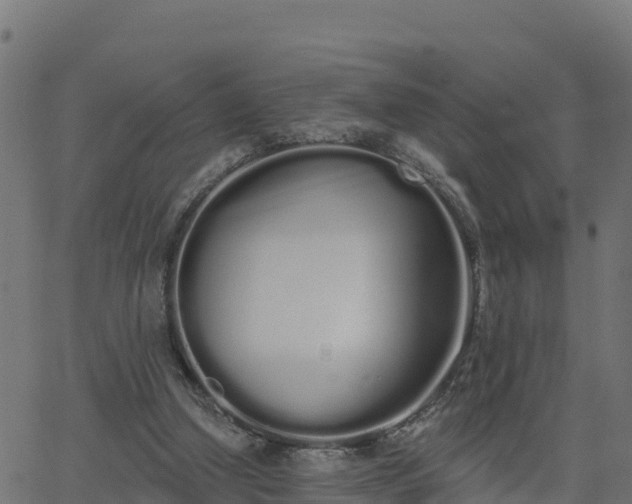 X0000062840250200601201645