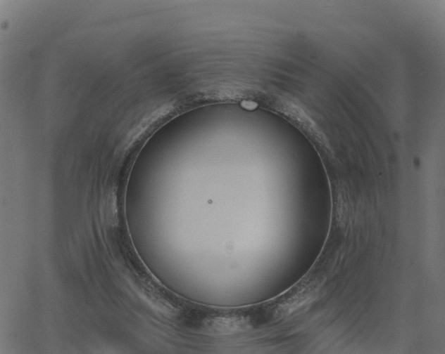 X0000062840251200601201645