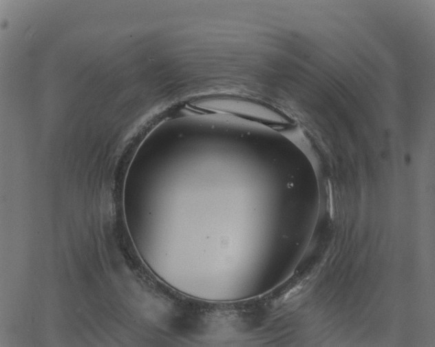 X0000062840252200601201645