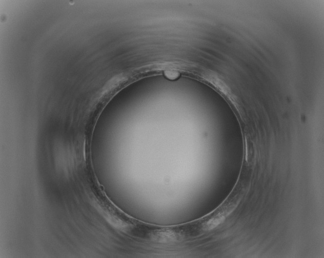 X0000062840253200601201645