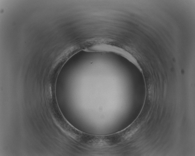 X0000062840254200601201645