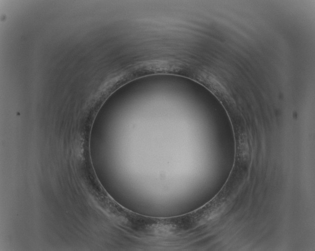 X0000062840255200601201645