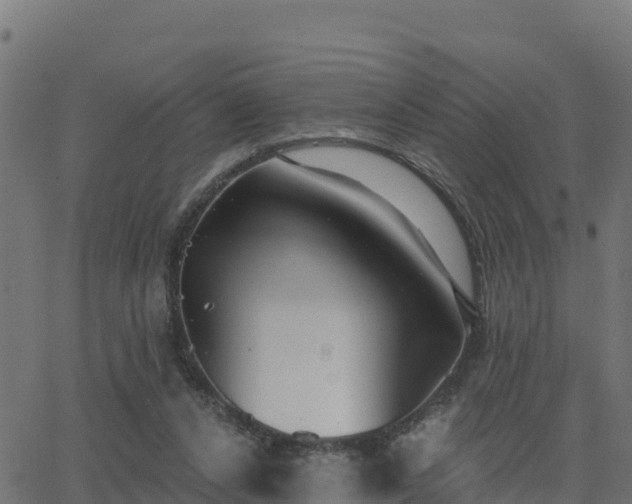 X0000062840256200601201645