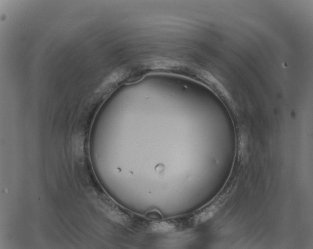 X0000062840257200601201645