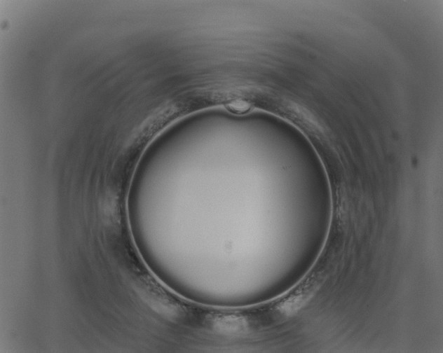 X0000062840258200601201645