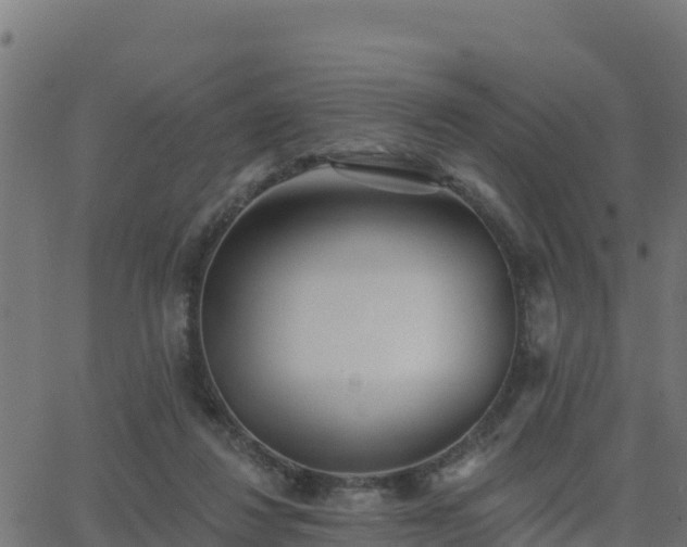 X0000062840260200601201645