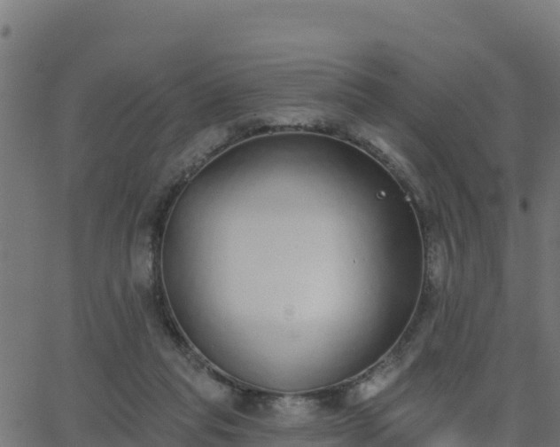 X0000062840261200601201645