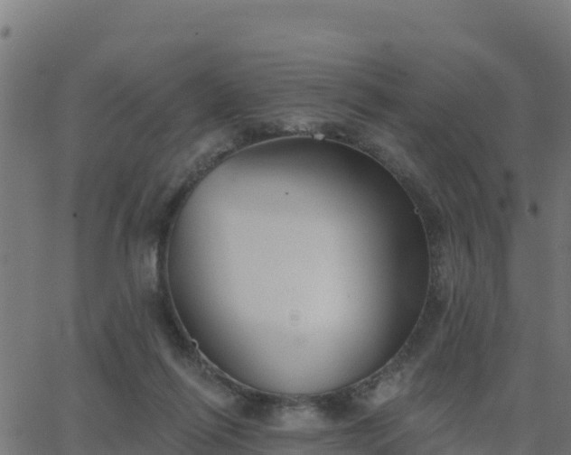 X0000062840262200601201645