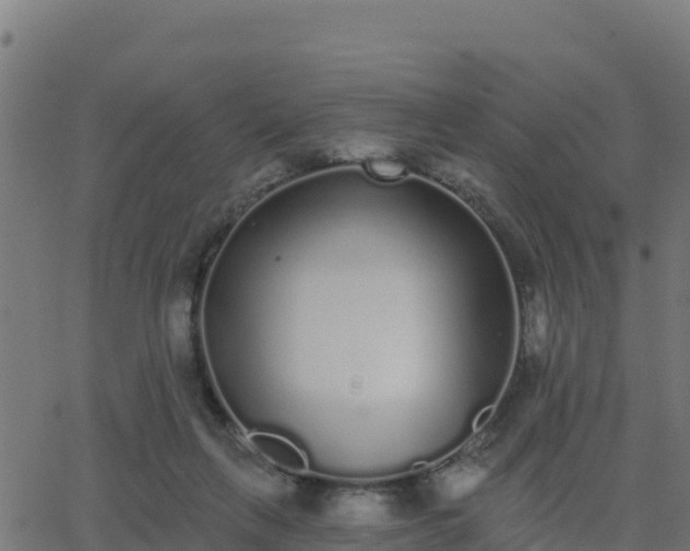 X0000062840263200601201645