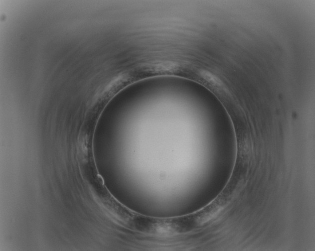 X0000062840264200601201645