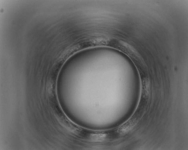 X0000062840266200601201645