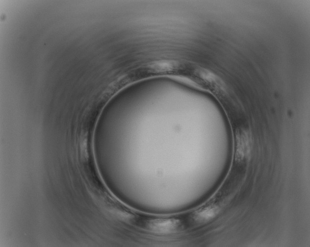 X0000062840267200601201645