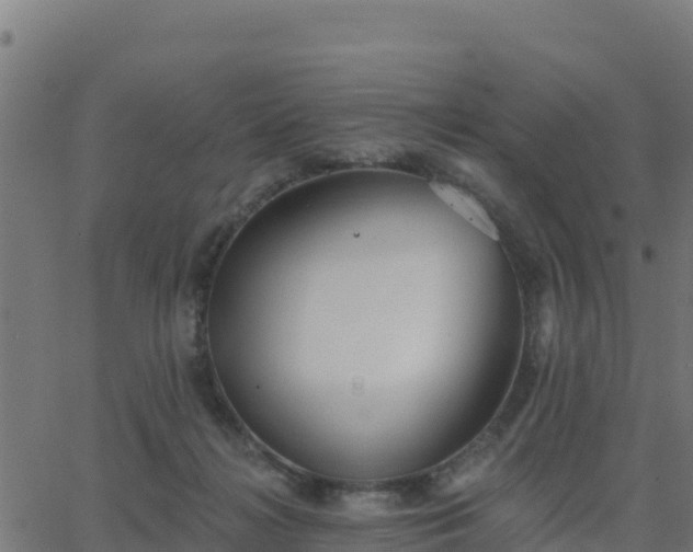 X0000062840268200601201645